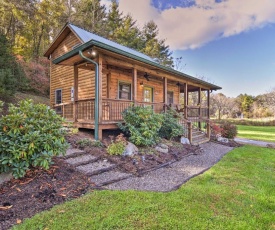 Cozy Country Cabin with Deck 12 Miles to Asheville!