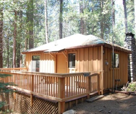 9S Pine Cabin