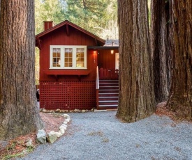 Redwood Retreat! Redwoods! Walk to River!! Hot Tub!! BBQ! Central Air!!