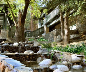 The Grand Idyllwild Lodge