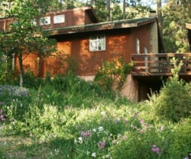 Sunny Pines Cottage