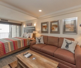 203A - Lakefront Efficiency Condo, Access to Indoor Pool!