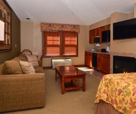 A118 - Studio Suite with Standard View, Sleeps 4, Has a Fireplace!