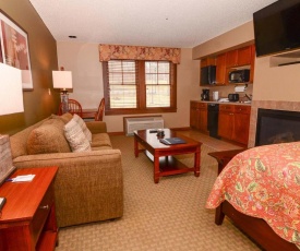 A214 - Standard View Studio Suite with Fireplace and Free WIFI!