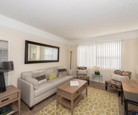 Stylish Modern 1BR- Pool and Gym Near SeaWorld!