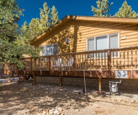 Fun for All by Big Bear Cool Cabins